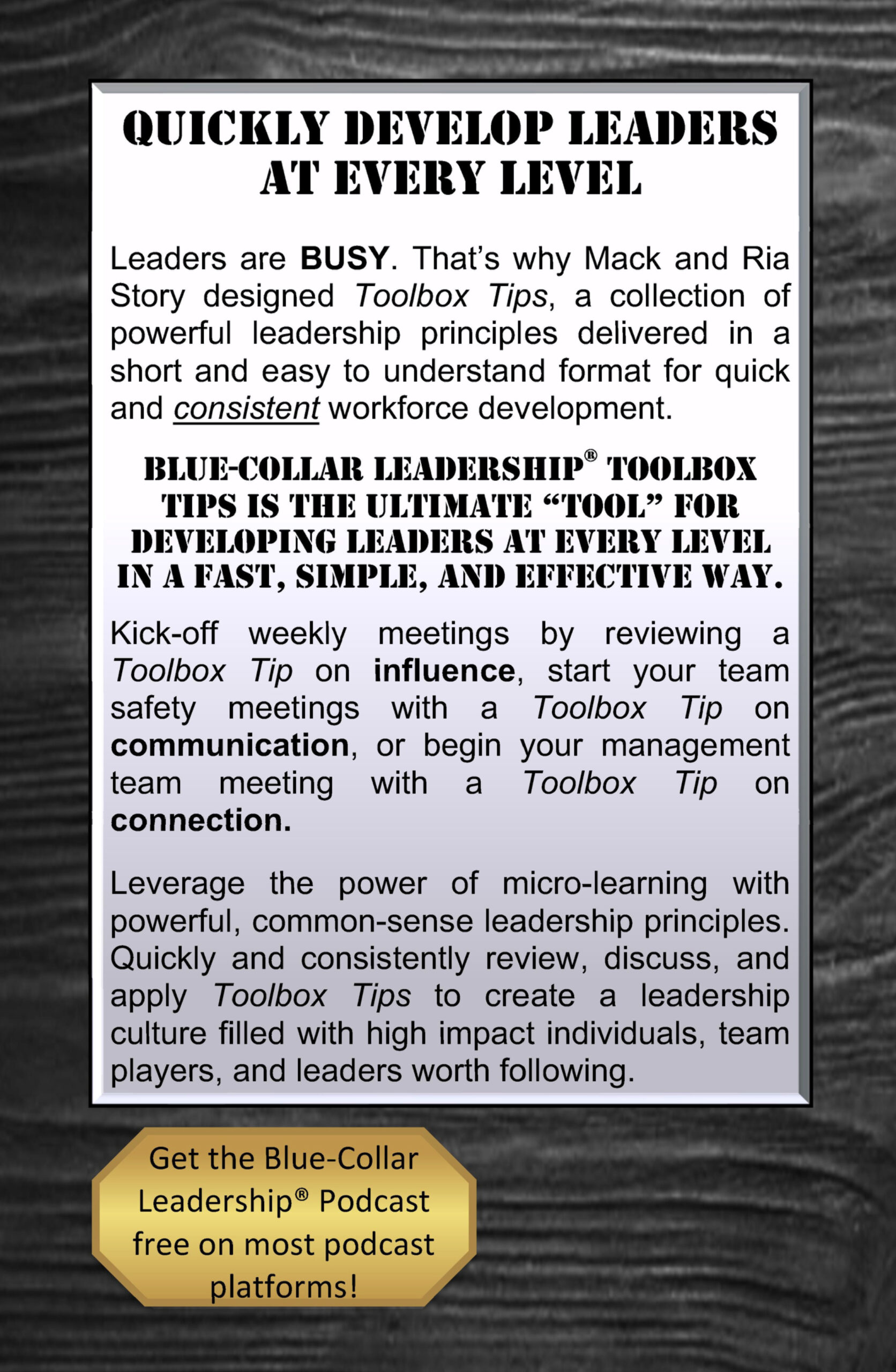 Blue-Collar Leadership Toolbox Tips Volume 3: 60 Micro-Lessons to Maximize Your Communication - Image 2